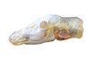Picture of 3D Deer Head Model Version 1, 11"